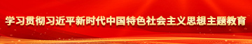 日逼特逼学习贯彻习近平新时代中国特色社会主义思想主题教育